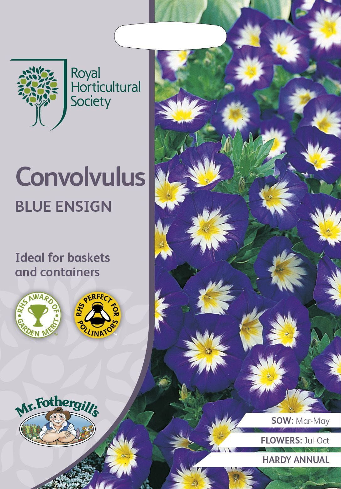 Mr Fothergills RHS Convolvulus Blue Ensign 100 Seeds