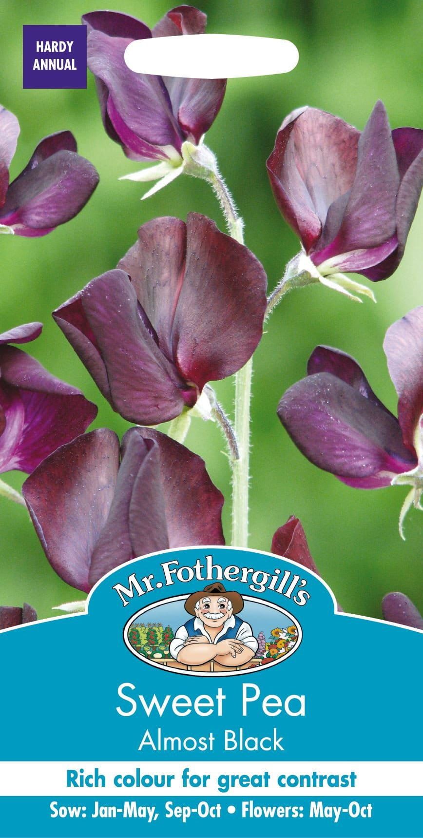 Mr Fothergills Sweet Pea Almost Black 20 Seeds