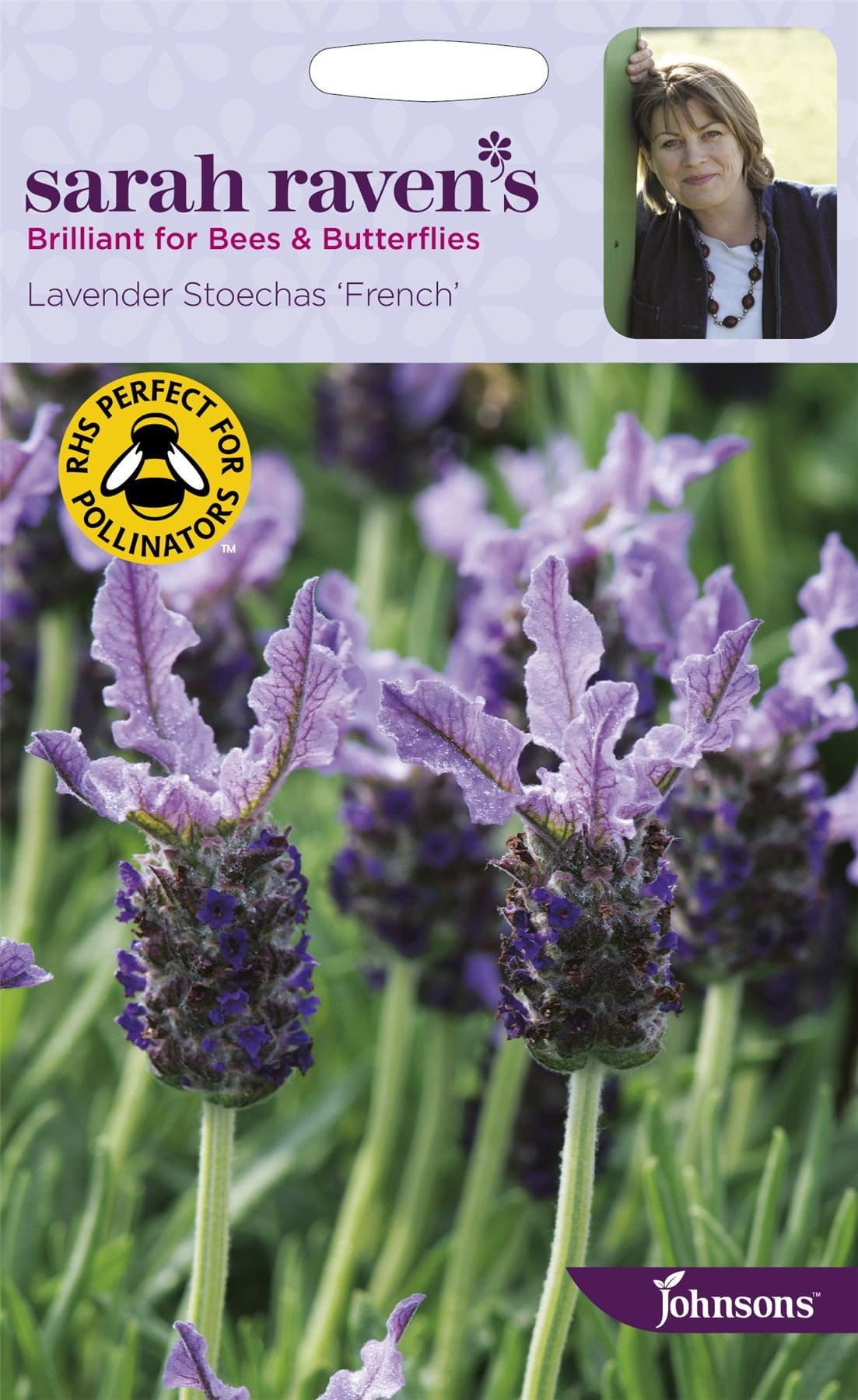 sarah lavender plant Johnsons Sarah Raven's Lavender Stoechas French 35 Seeds – JustSeed