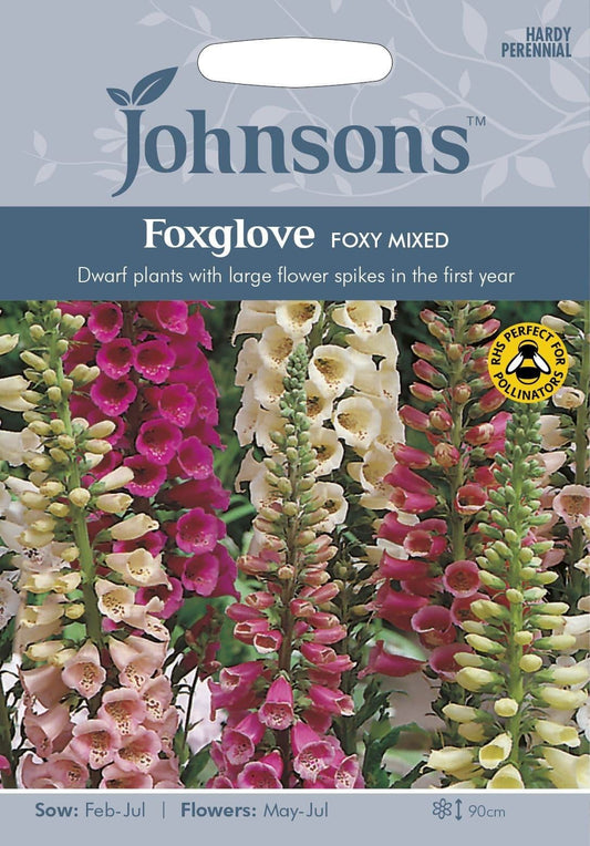 Johnsons Foxglove Foxy Mixed 1000 Seeds