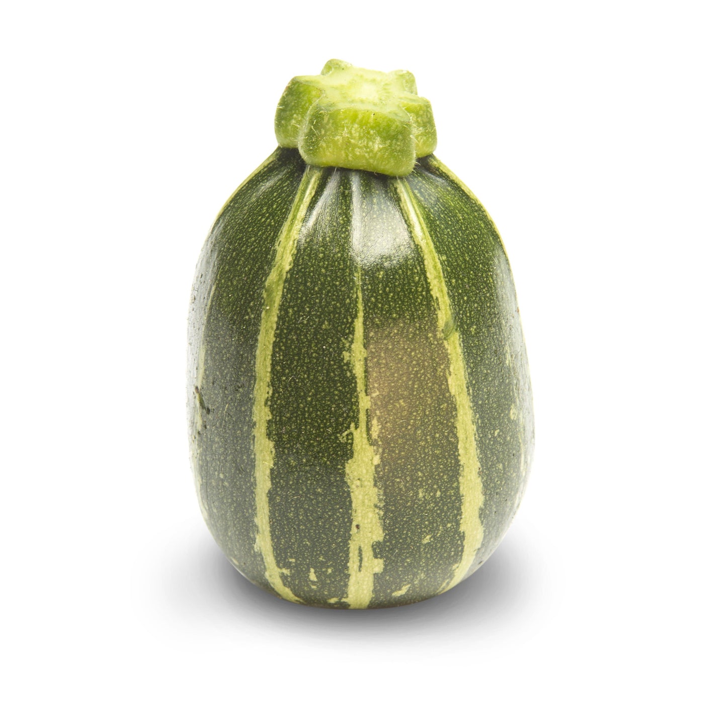 Courgette Piccolo F1 Hybrid Seeds