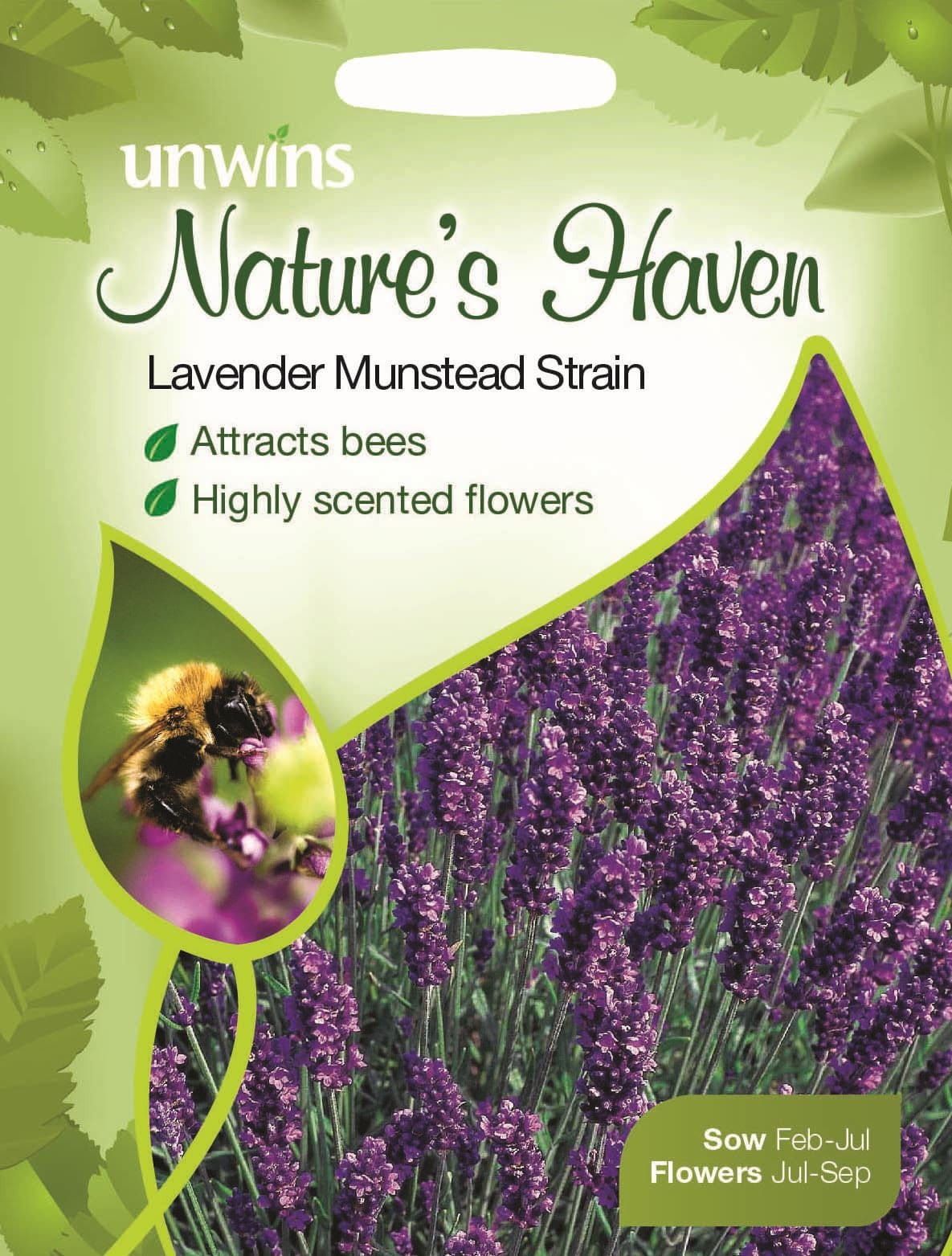 Unwins Nature's Haven Lavender Munstead Strain 150 Seeds