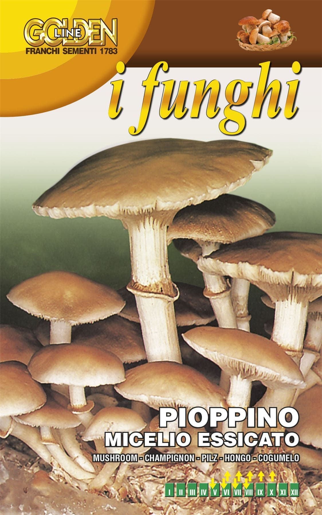 FRANCHI - POPLAR MUSHROOM - PIOPPINO - PHOLIOTA AEGERITA - 100G