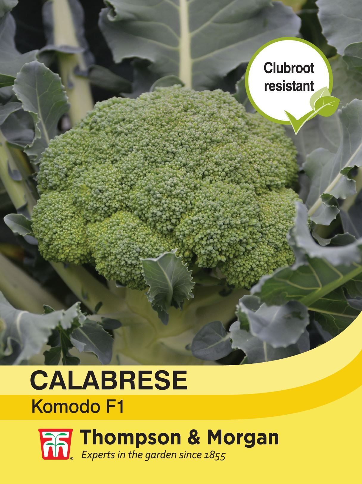 Thompson & Morgan - Vegetable - Calabrese - Komodo - 30 Seeds
