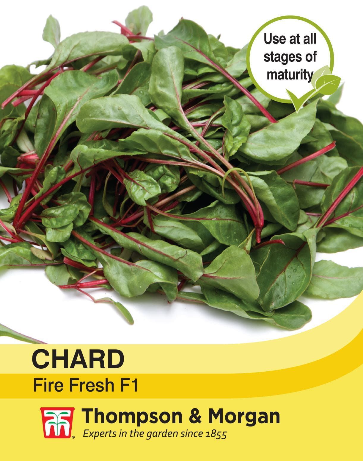 Thompson & Morgan - Vegetable - Chard - Fire Fresh - 200 Seeds