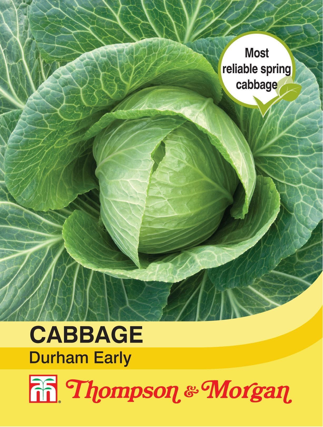 Thompson & Morgan Cabbage Durham Early 300 Seed