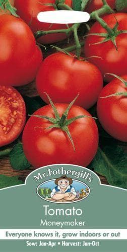 Mr Fothergills Tomato Moneymaker 100 Seeds