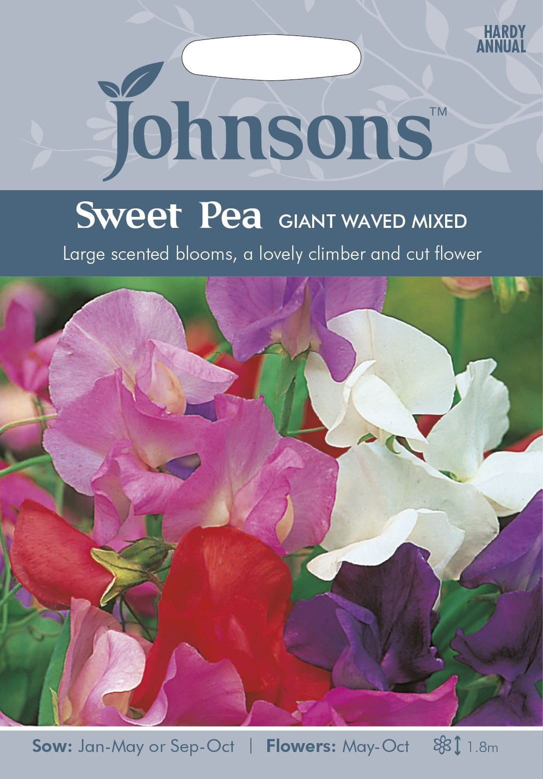 johnsons flower seeds Johnsons Flower Sweet Pea Giant Waved Mixed 40 Seeds – JustSeed