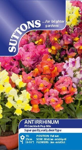 Sutton Seeds - Antirrhinum Seeds - F1 Crackle & Pop Mix