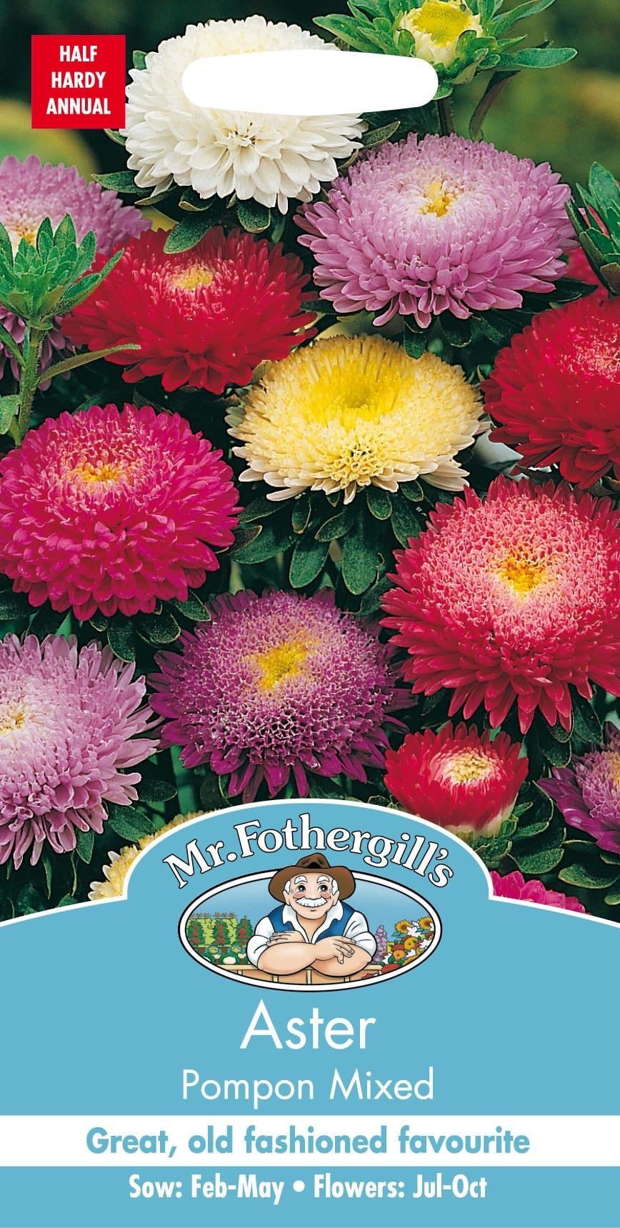 Mr Fothergills Aster Pompon mixed 250 Seeds