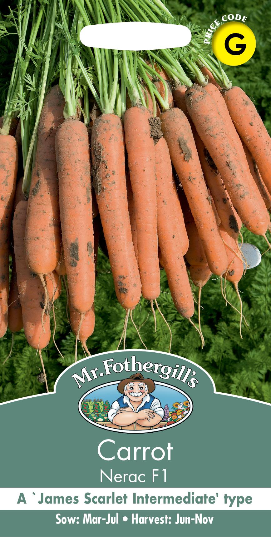 Mr Fothergills - Vegetable - Carrot - Nerac F1 - Seeds