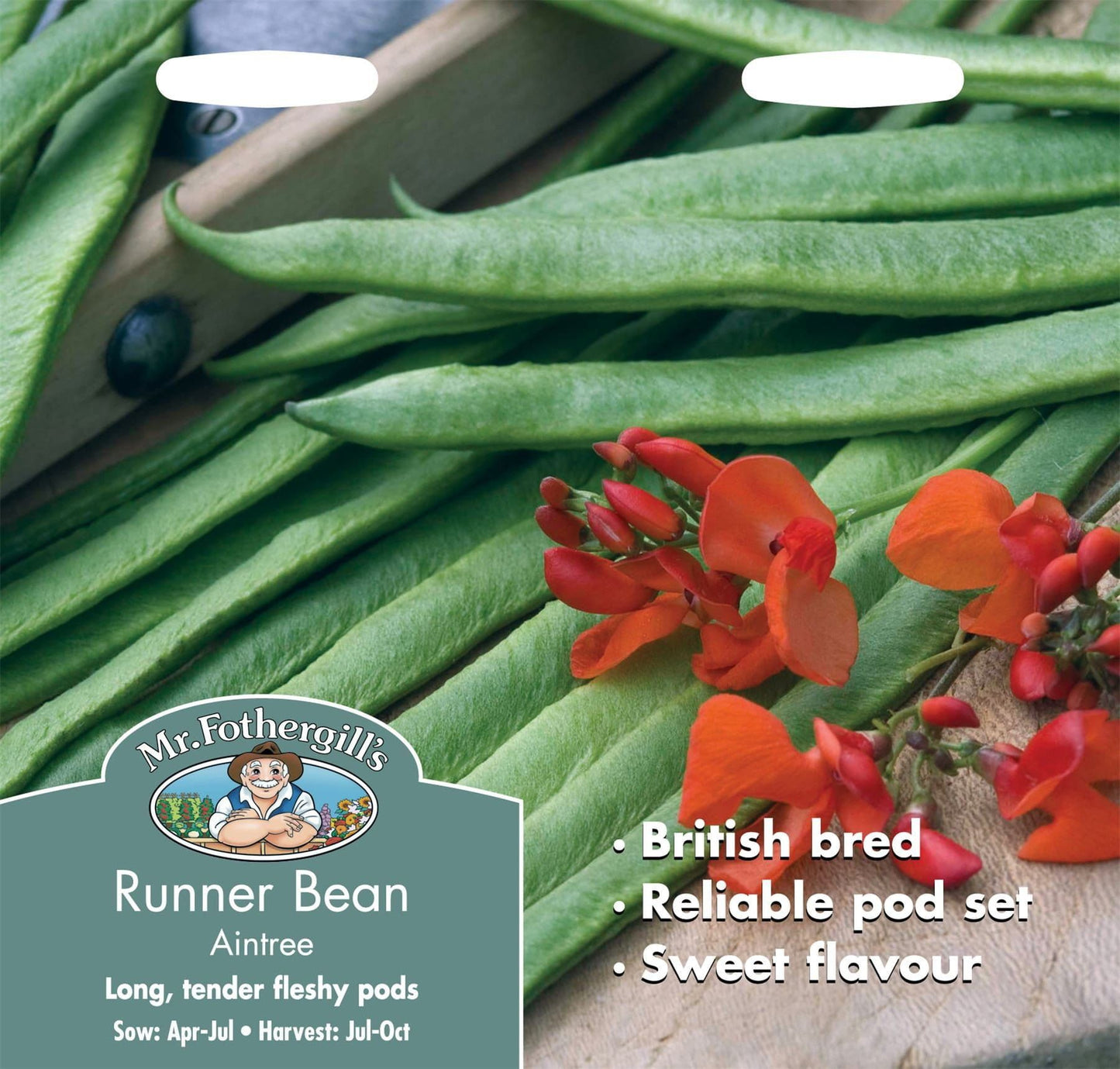 Mr Fothergills Runner Bean Aintree 45 Seeds