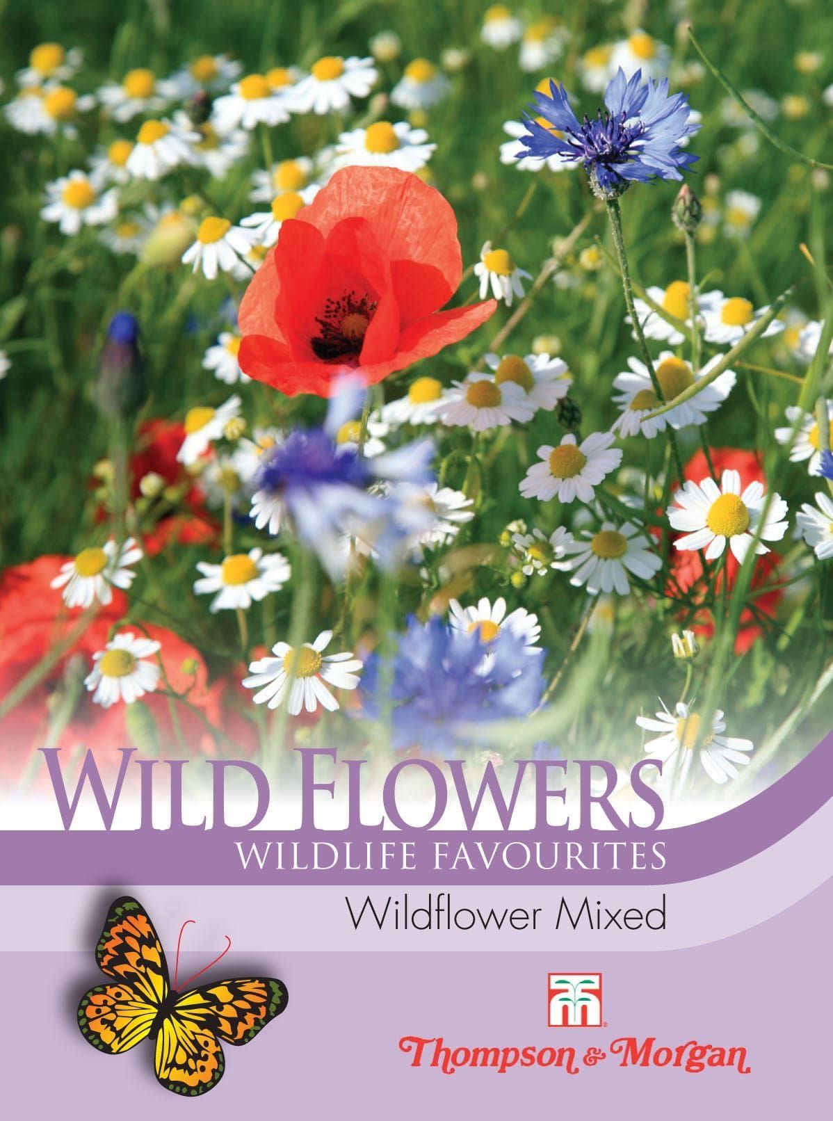 thompson and morgan wildflower seeds Thompson & Morgan Wild Flower Mixture 1 Gram Seed – JustSeed