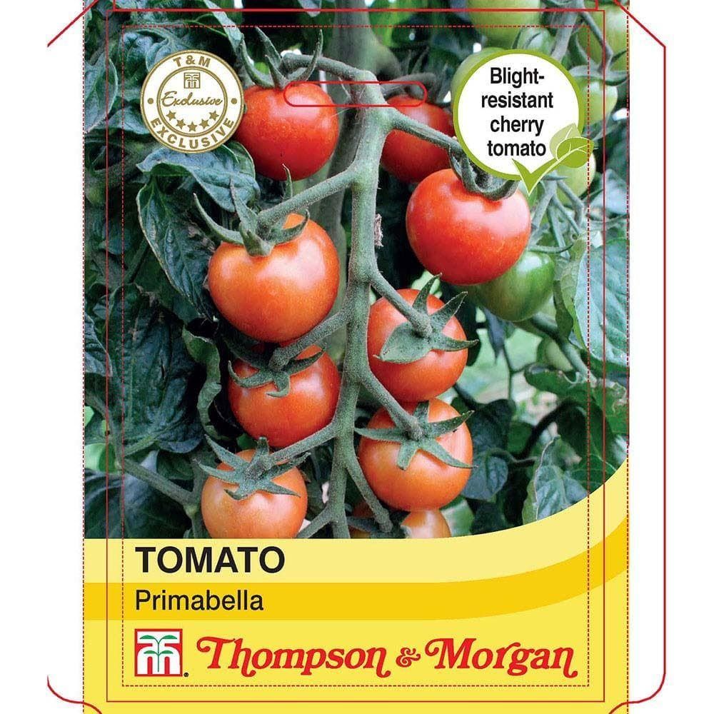Thompson & Morgan - Tomato Primabella - 5 Seeds