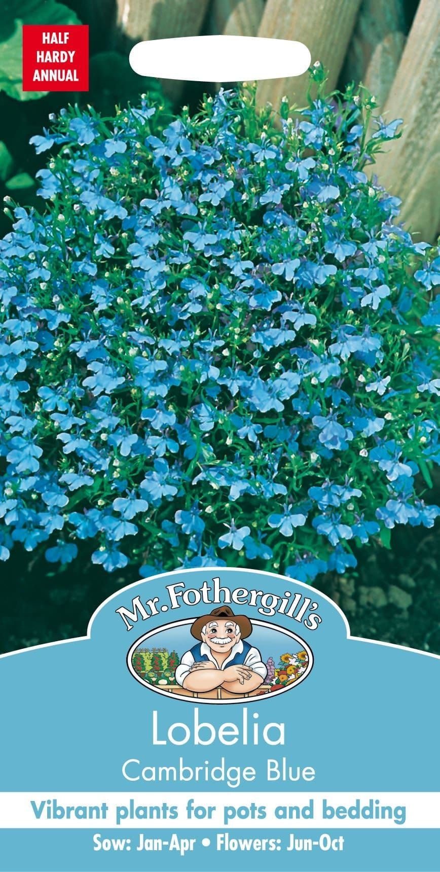 Mr Fothergills Lobelia Cambridge Blue 2500 Seeds