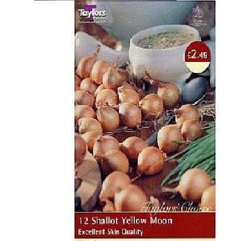 Taylors Shallot Sets Yellow Moon 12 Sets
