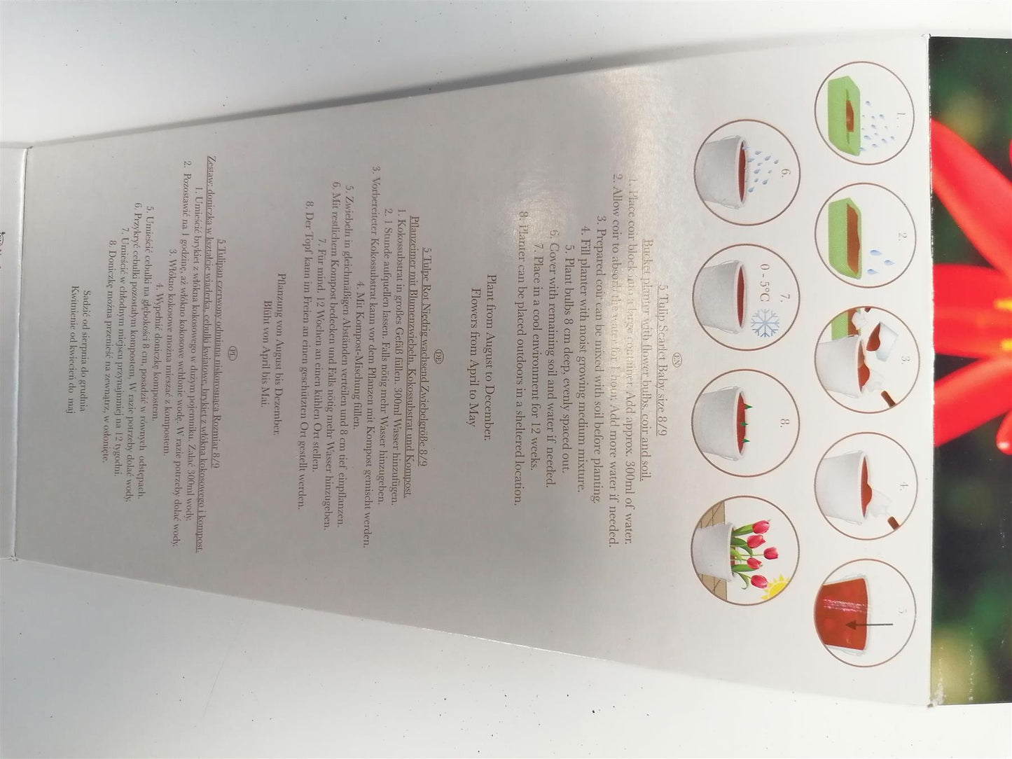 Beautifleur - Tulip Scarlet Baby Metal Planter