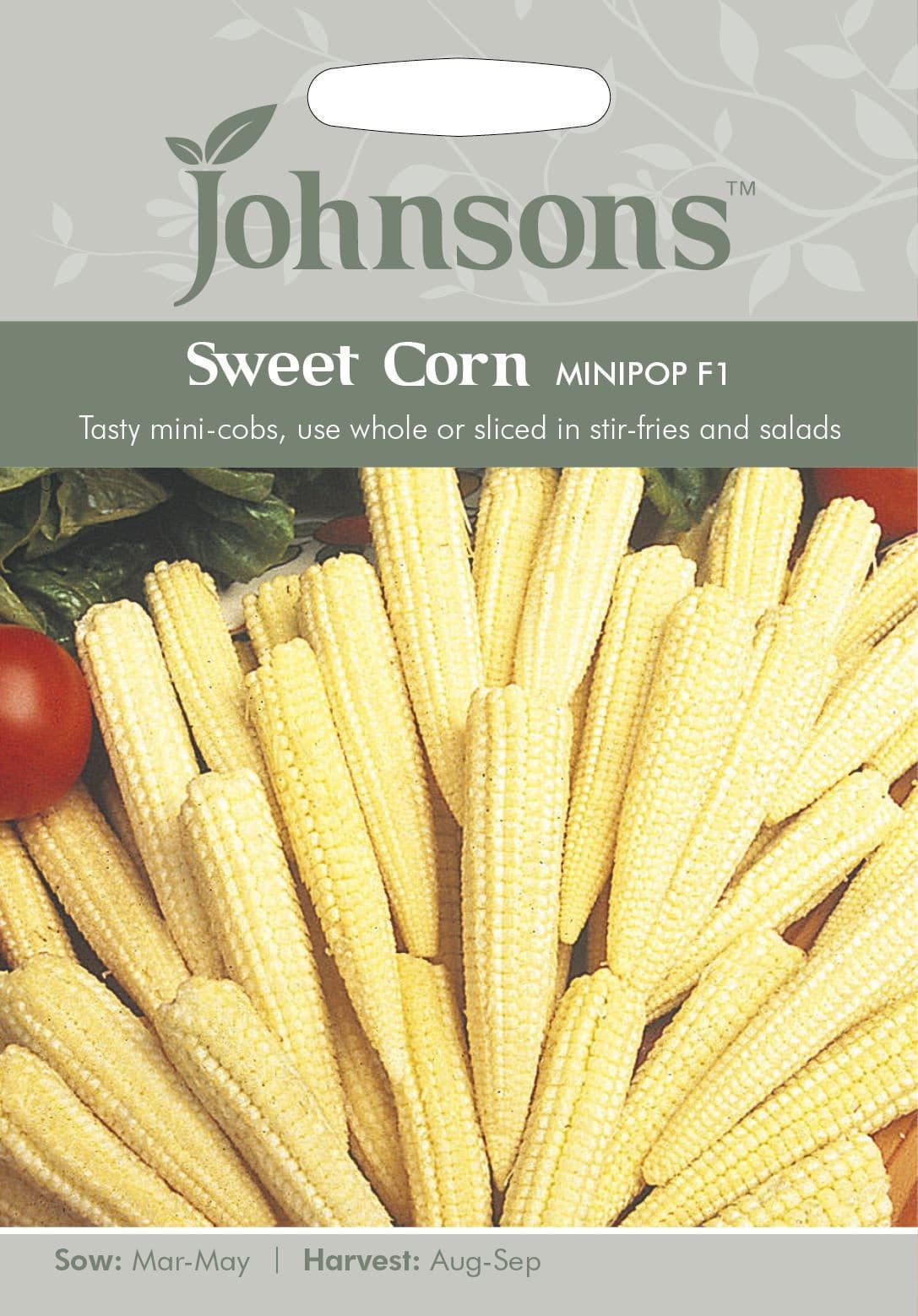 Johnsons Sweet Corn Minipop F1 50 Seeds