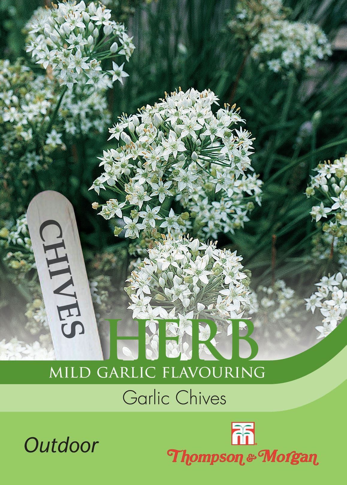 Thompson & Morgan Herb Garlic Chives 100 Seed