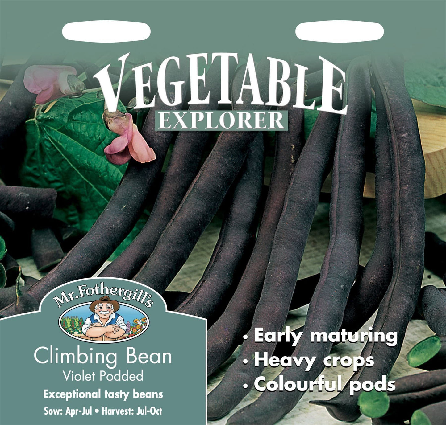 Mr Fothergills Climbing Bean Violet Podded 50 Seeds