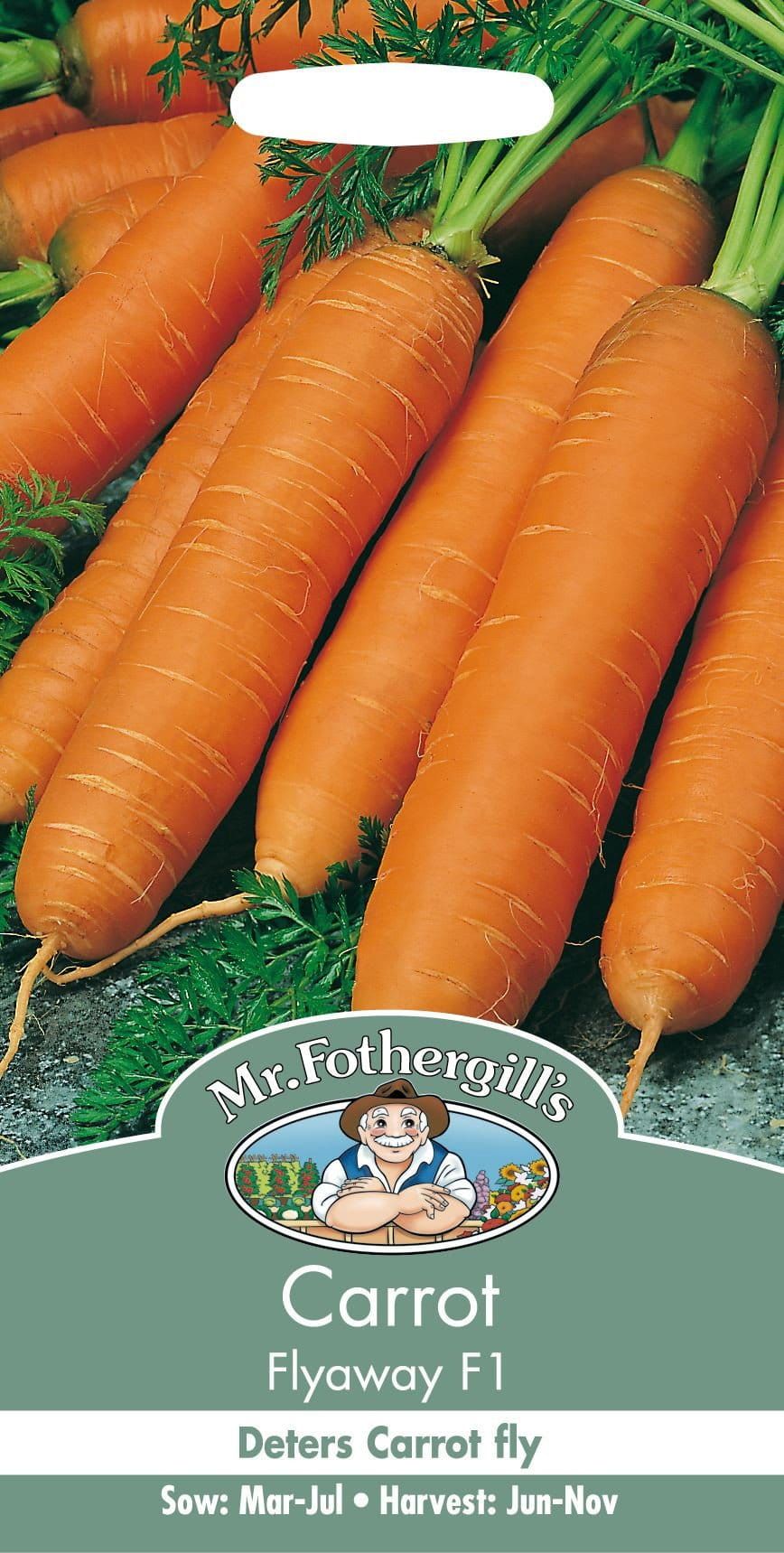 Mr Fothergills Carrot Flyaway F1 - 500 Seeds