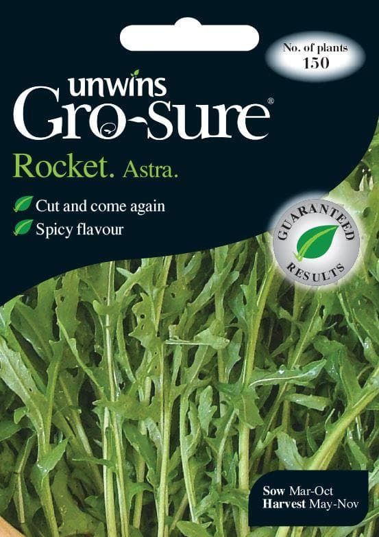 Unwins Rocket Astra 150 Seeds