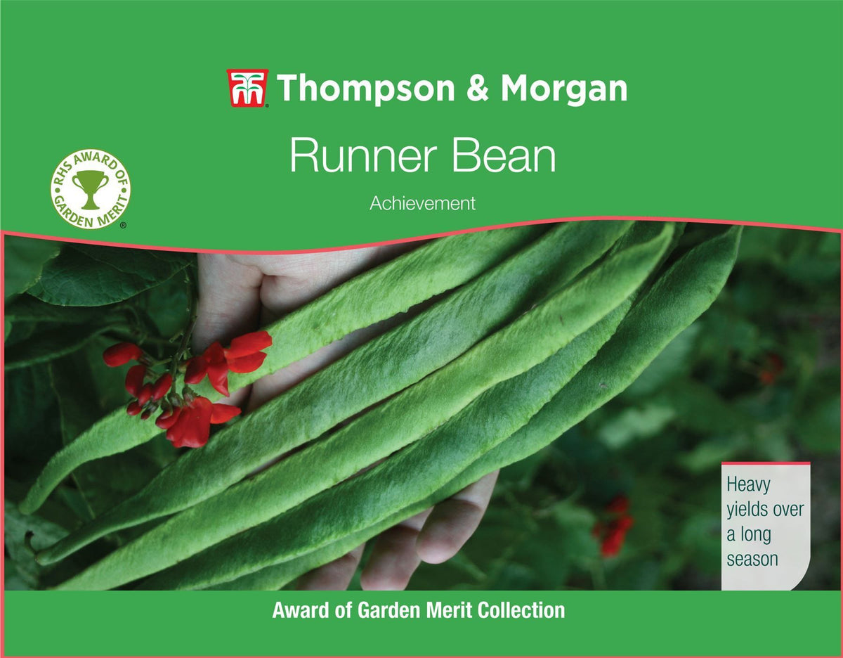 Thompson & Morgan RHS Runner Bean Achievement Merit 30 Seed