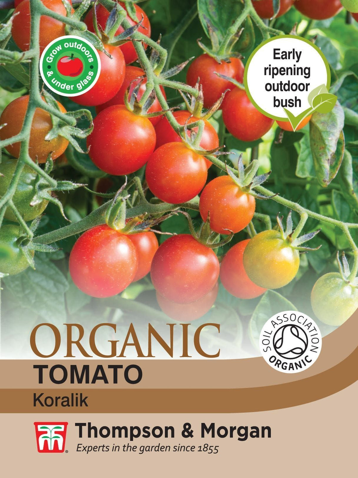 Thompson & Morgan - Organic - Tomato - Koralik - 8 Seeds