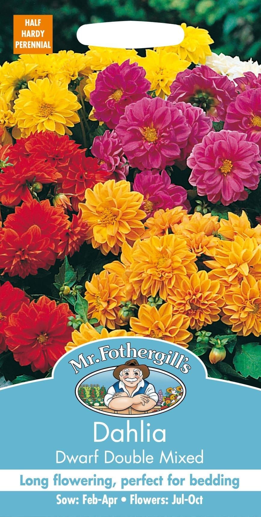 Mr Fothergills Dahlia Dwarf Double Mixed 50 Seeds