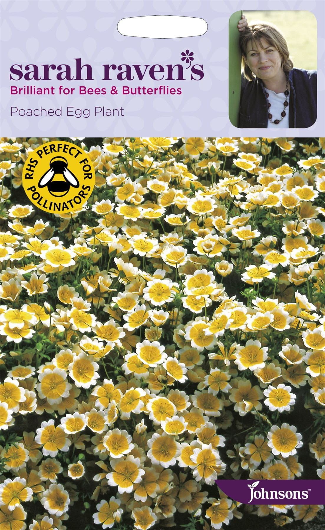poached egg plant seeds Johnsons Sarah Raven's Poached Egg Plant 100 Seeds – JustSeed