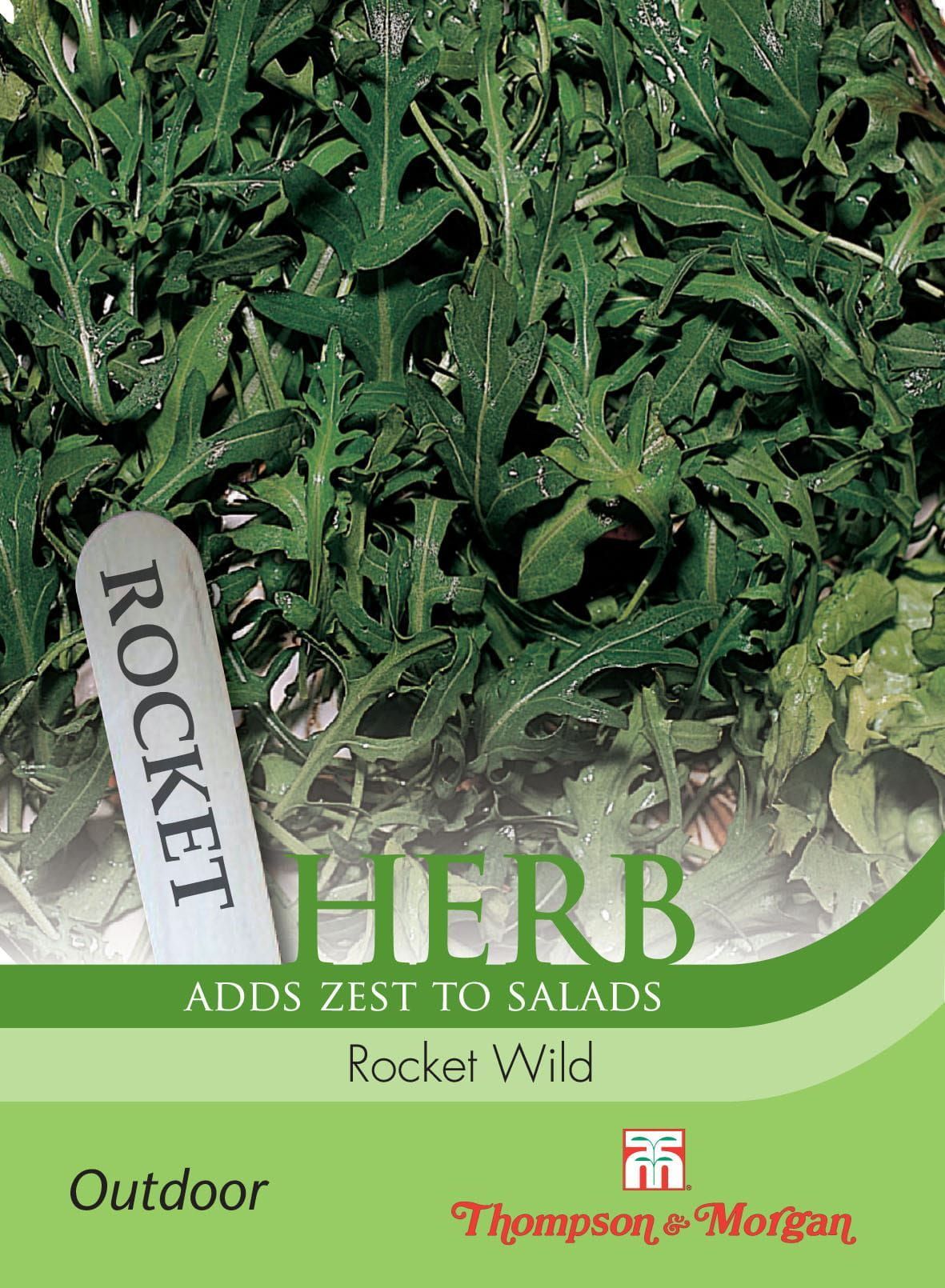 Thompson & Morgan Herb Wild Rocket 500 Seed