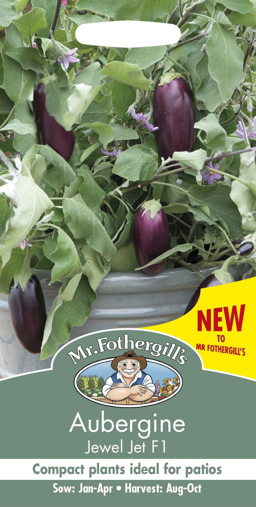 Mr Fothergills Aubergine Jewel Jet F1 10 Seeds