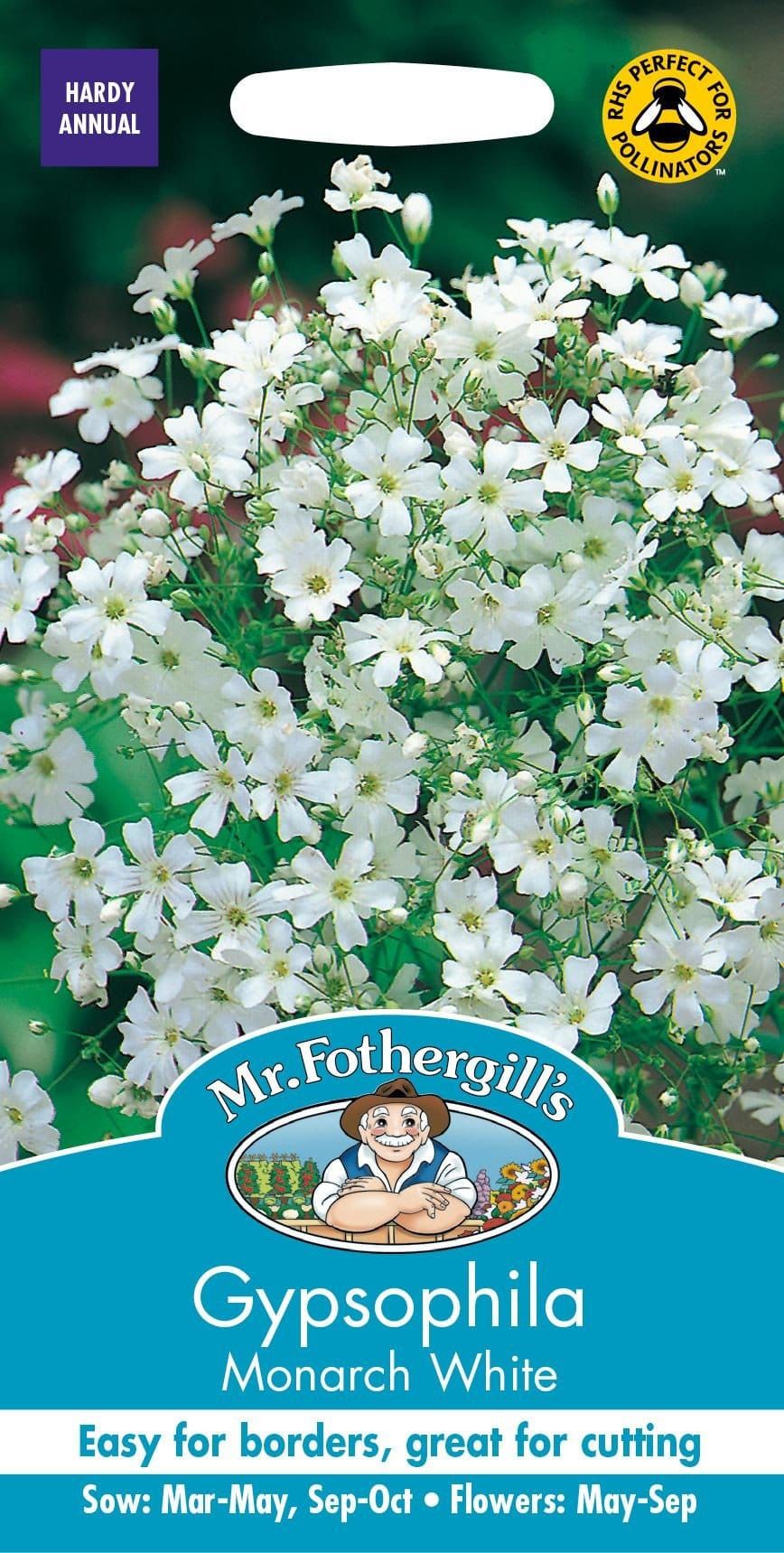Mr Fothergills Gypsophila Monarch White 1000 Seeds