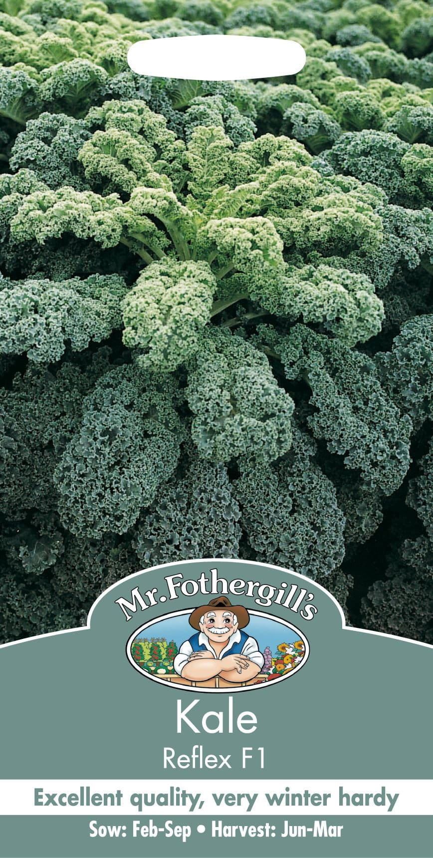 Mr Fothergills Kale Reflex F1 50 Seeds