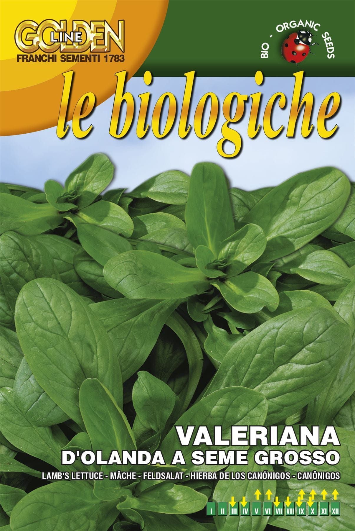 Franchi Organic BIOB140/3 Corn Salad D'Olanda Seeds