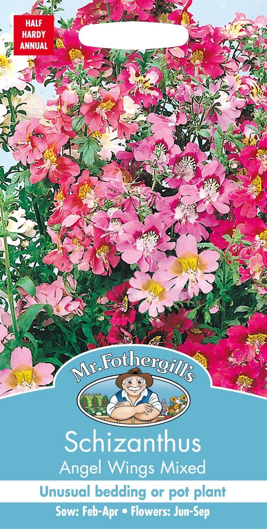 angel wings plant seeds Mr Fothergills Schizanthus Angels Wings Mixed 350 Seeds – JustSeed