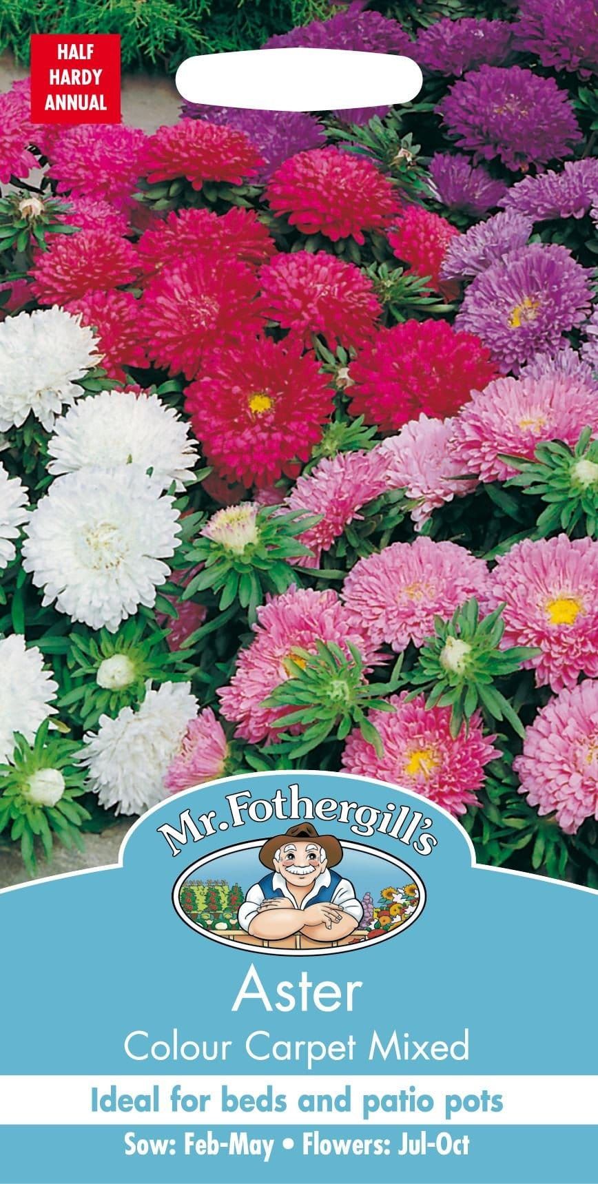 Mr Fothergills Aster Colour Carpet Mixed 250 Seeds