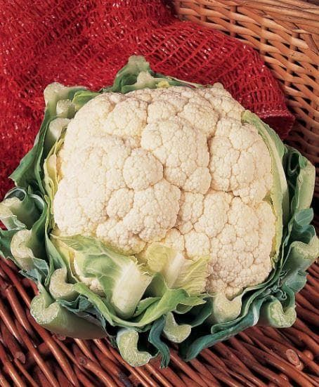 Organic Cauliflower Belot F1 Hybrid Seeds