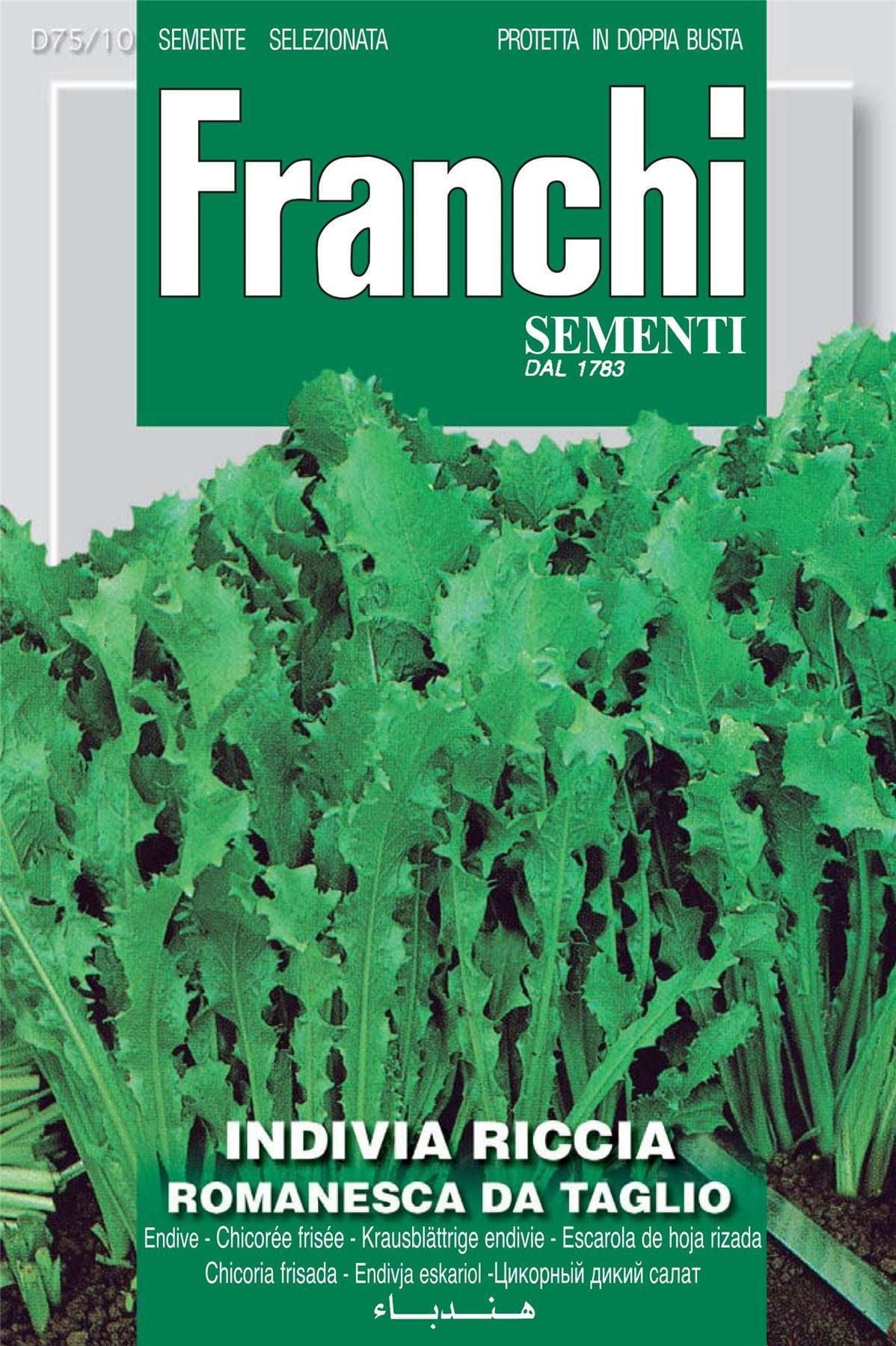 Franchi Seeds of Italy Endive Romanesca Da Taglio Seeds