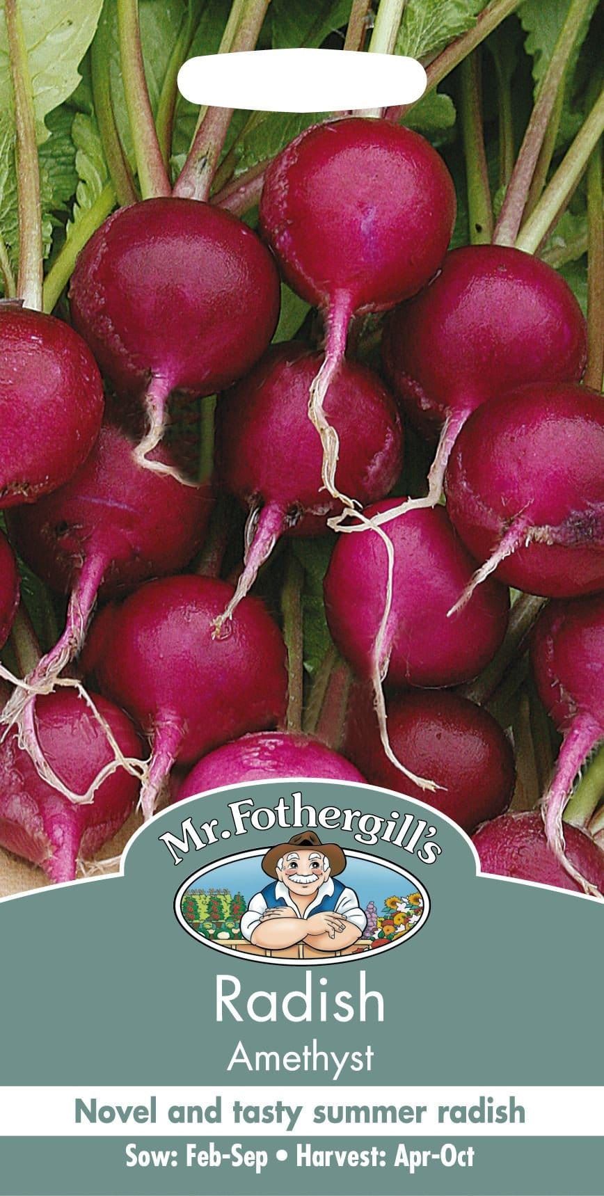 Mr Fothergills Radish Amethyst 250 Seeds