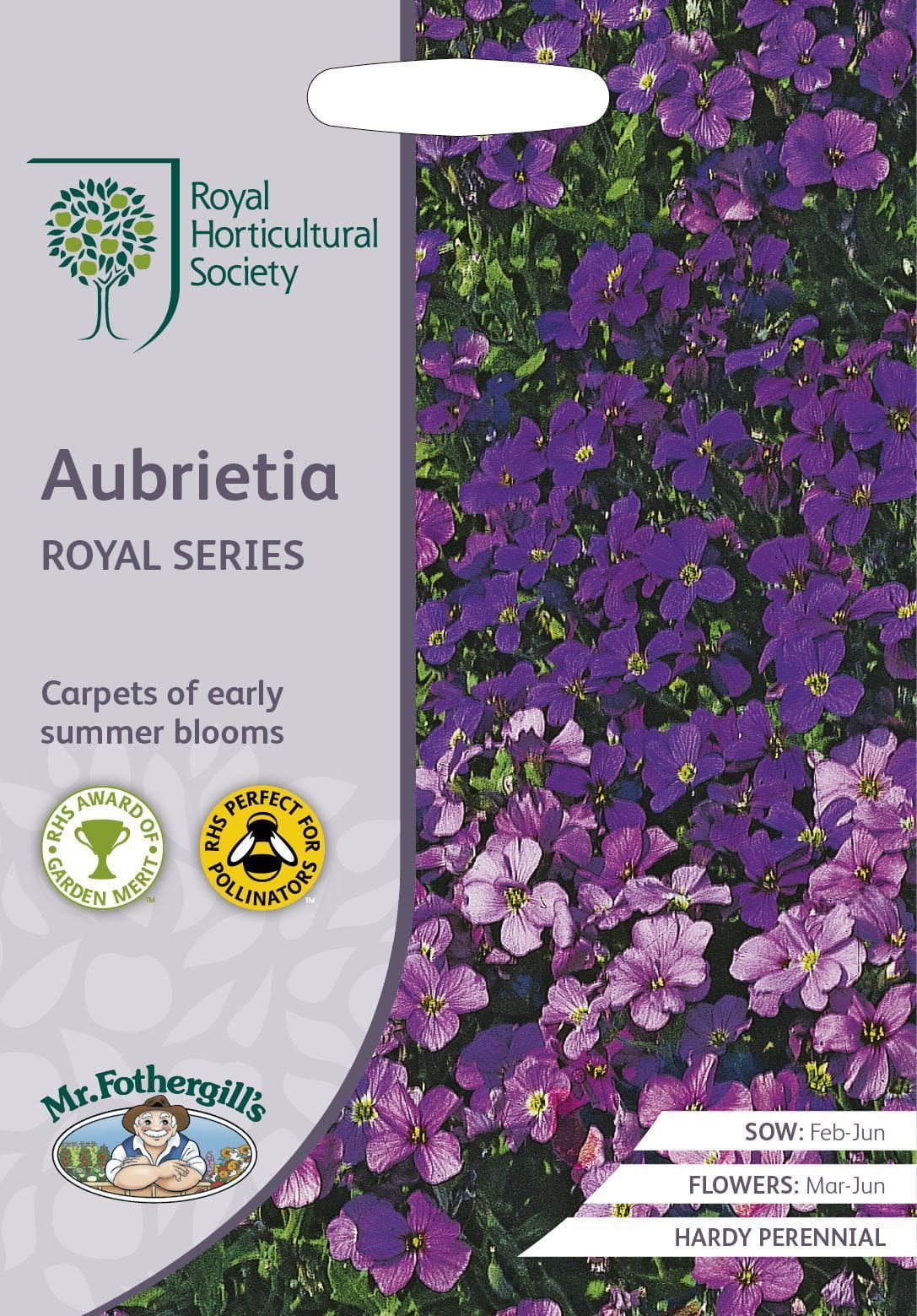 Mr Fothergills RHS Aubrieta Royal Series 400 Seeds