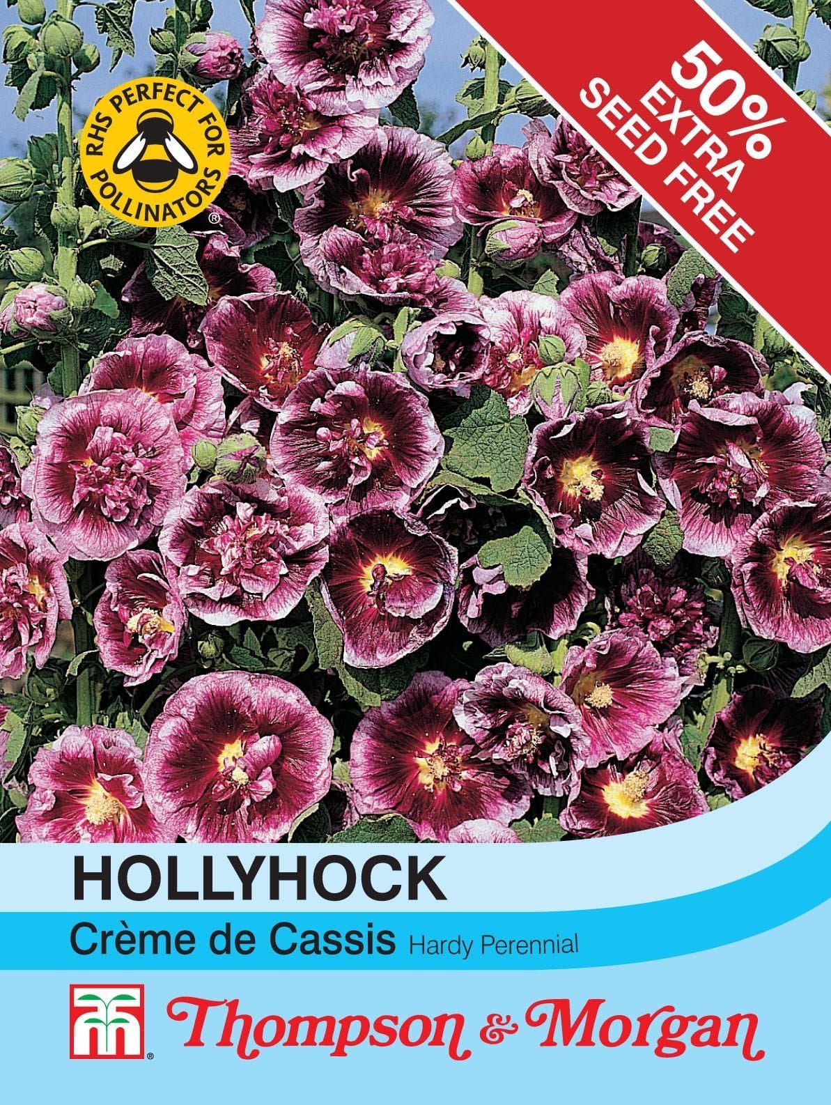 Thompson & Morgan Hollyhock Creme de Cassis 50 Seed