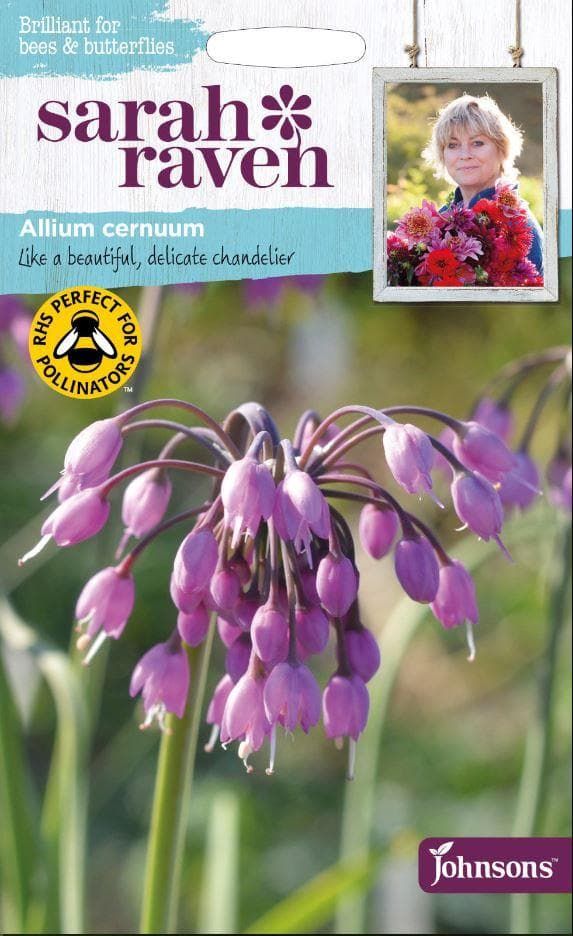 Johnsons Flowers Sarah Raven's Cut Flowers Allium cernuum 30 Seeds