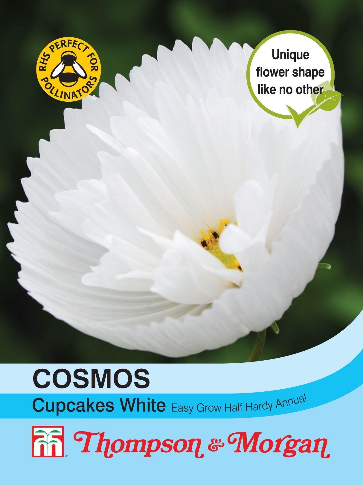 Thompson & Morgan - Cosmos Cupcakes - White - 30 Seeds