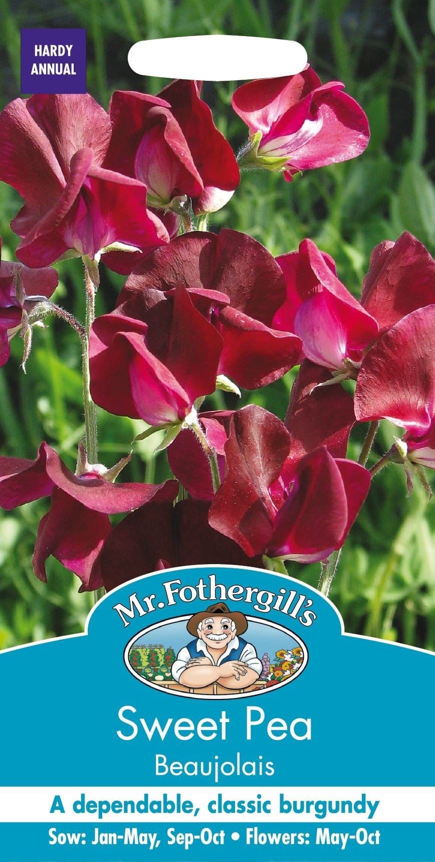 Mr Fothergills Sweet Pea Beaujolais 20 Seeds