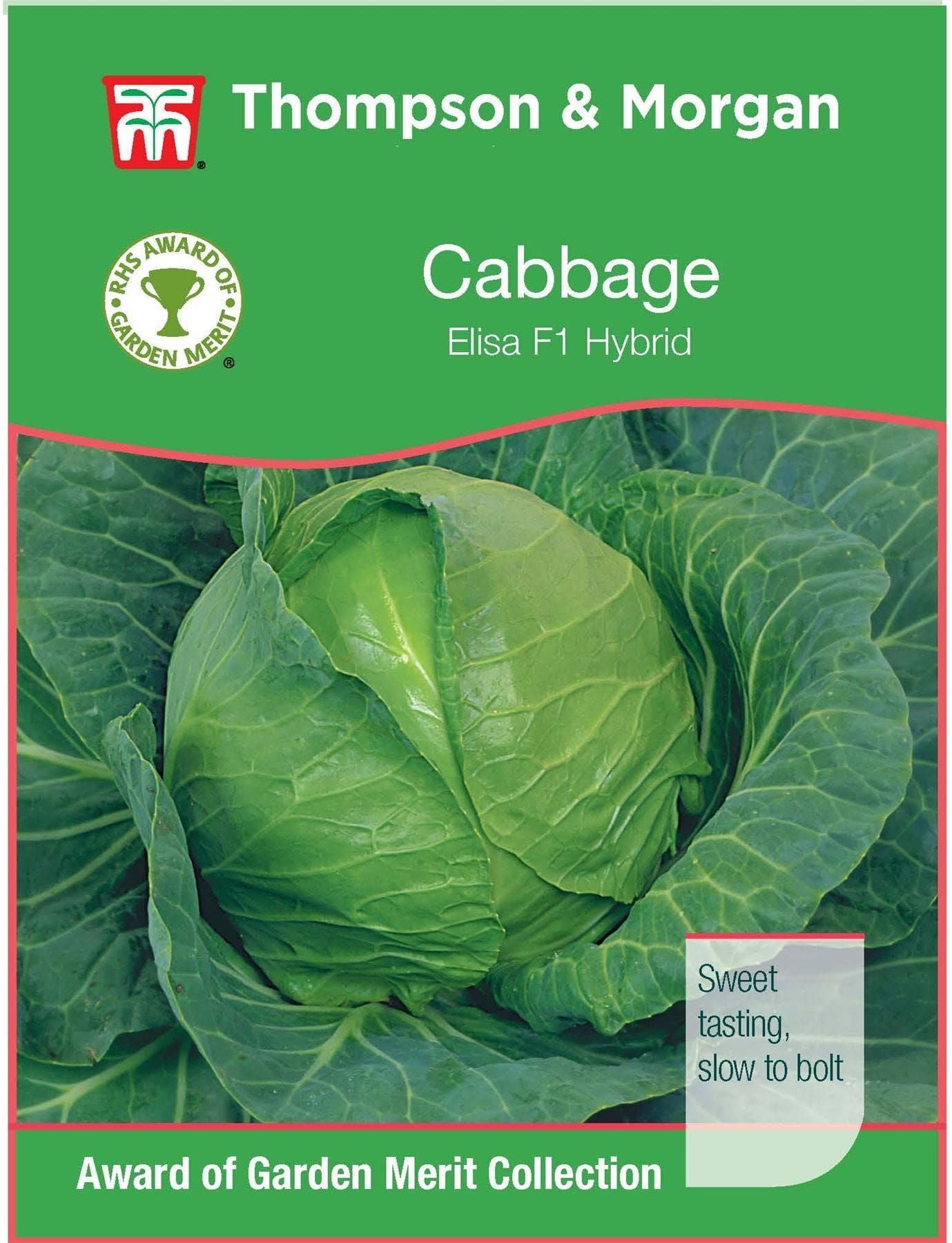 Thompson & Morgan RHS Cabbage Elisa F1 Hybrid 30 Seed