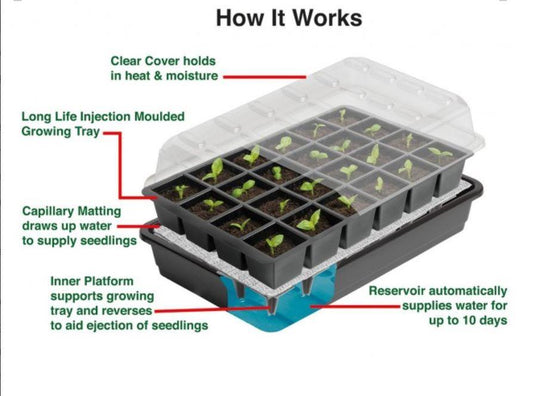 Ultimate 24 Cell Self Watering Seed Success Kit with 24 Growing Pellets - G180