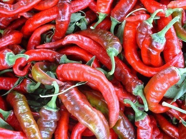 Pepper (Sweet) Sweet Nardello Seeds