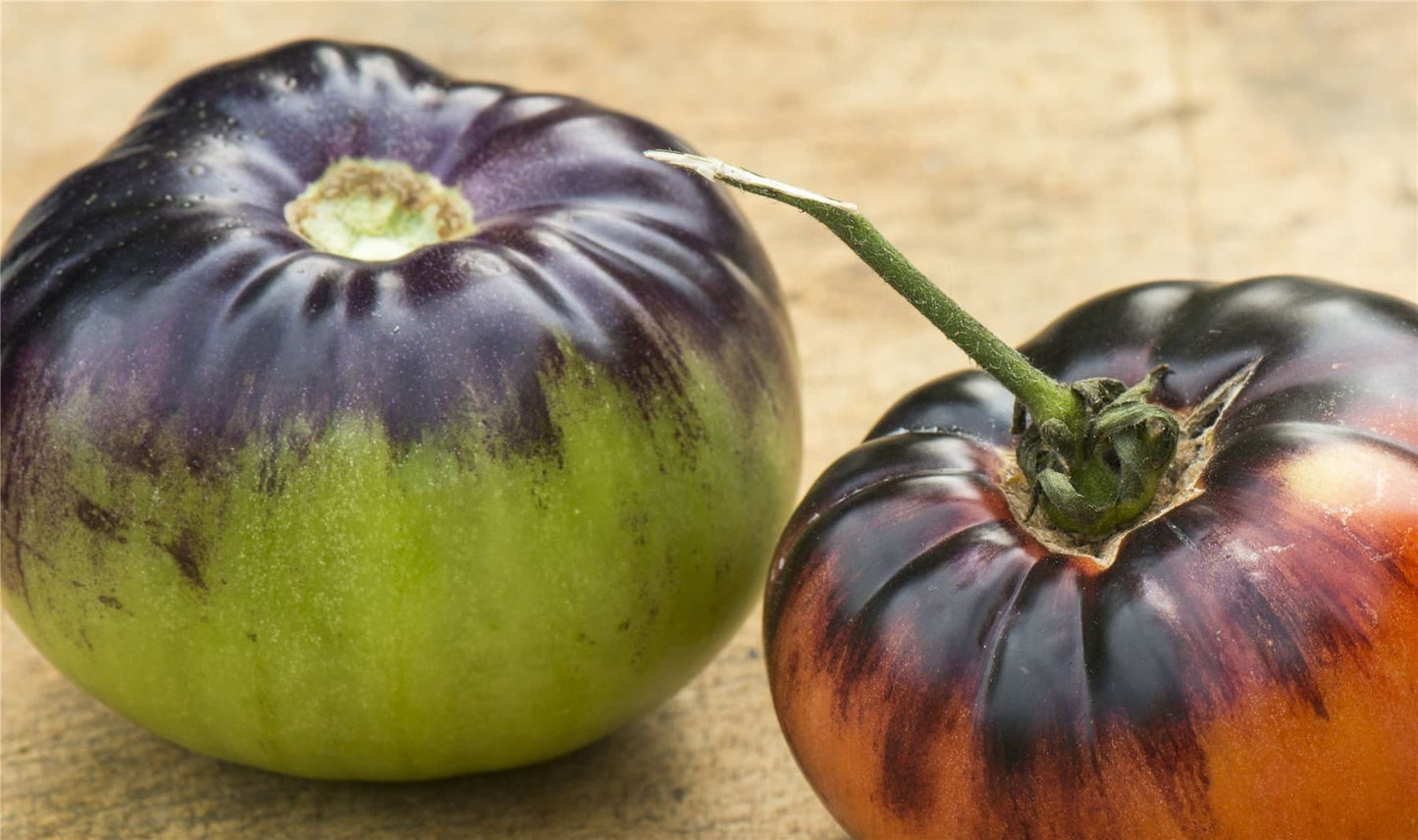 Tomato Indigo Blue Beauty Seeds