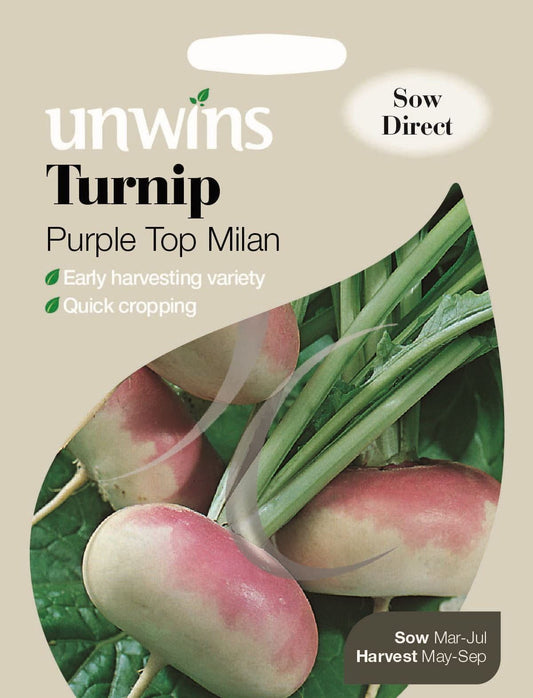 Unwins Turnip Purple Top Milan 1800 Seeds
